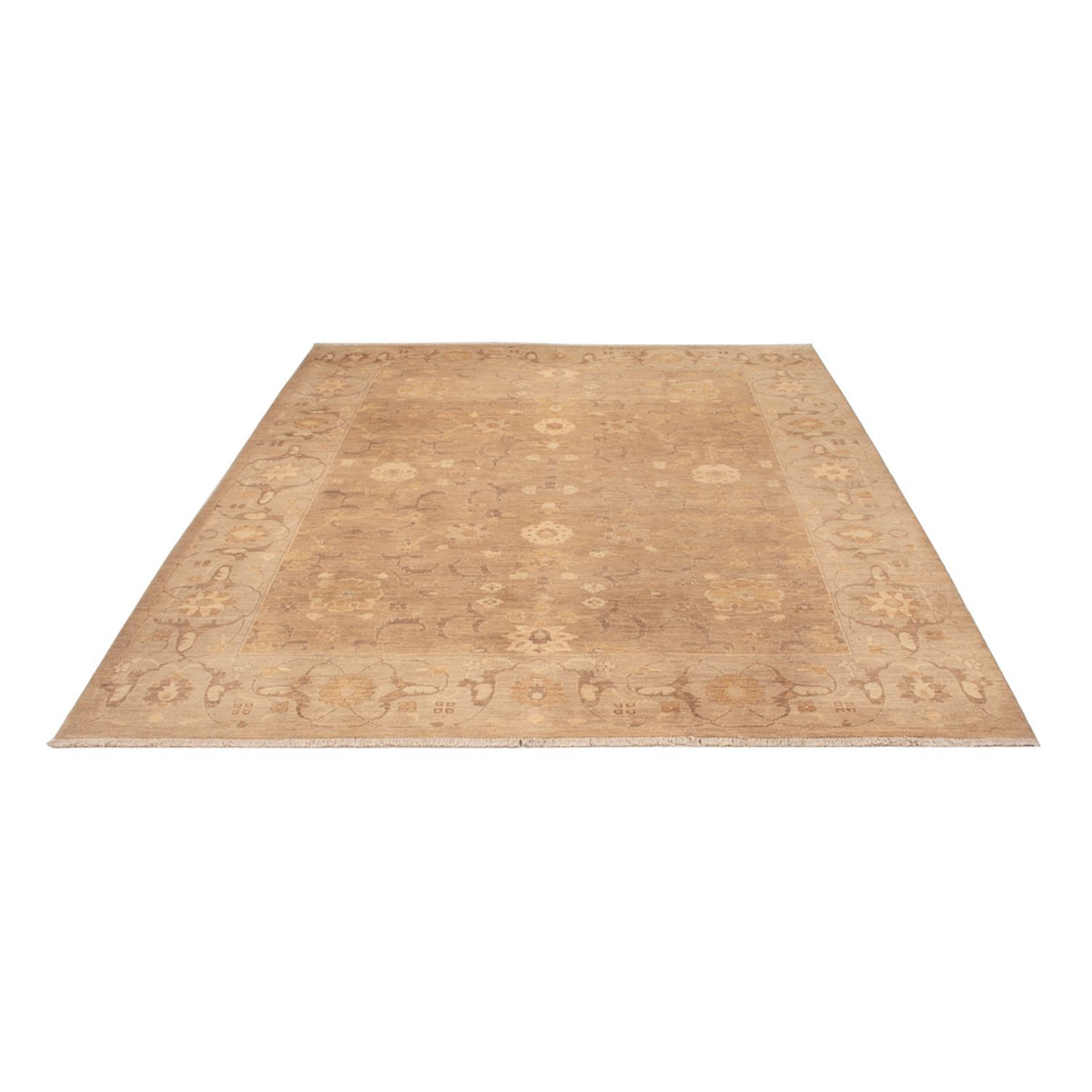 Ziegler Rug - 286 x 248 cm - caramel
