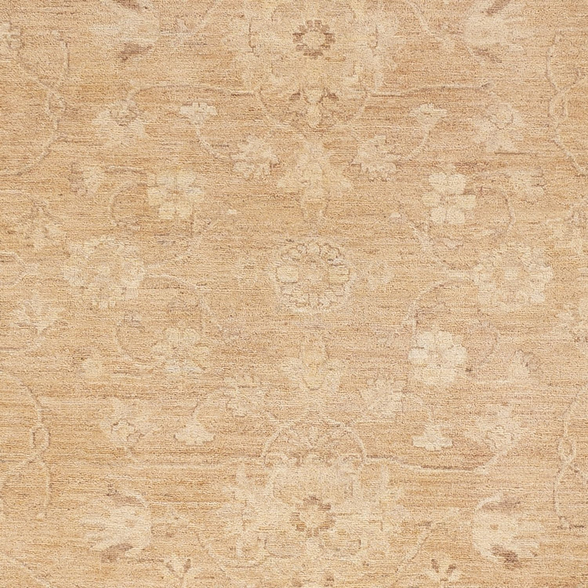 Ziegler Rug - 305 x 240 cm - caramel