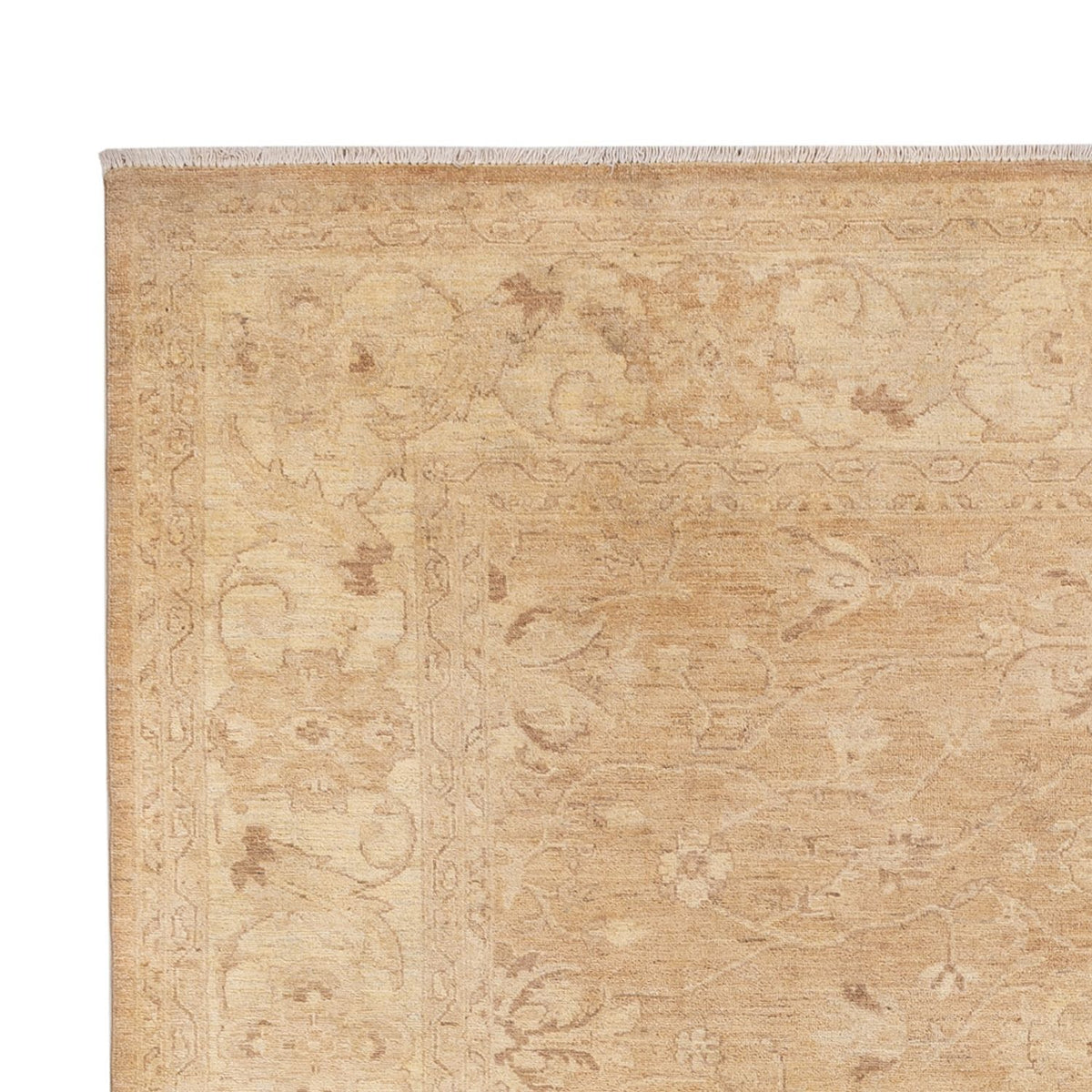 Ziegler Rug - 305 x 240 cm - caramel