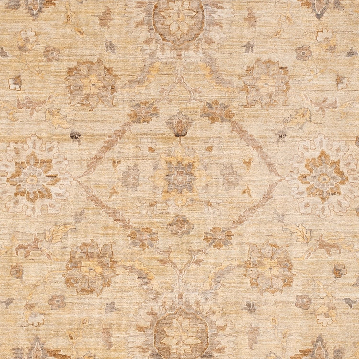 Ziegler Rug - 290 x 244 cm - beige