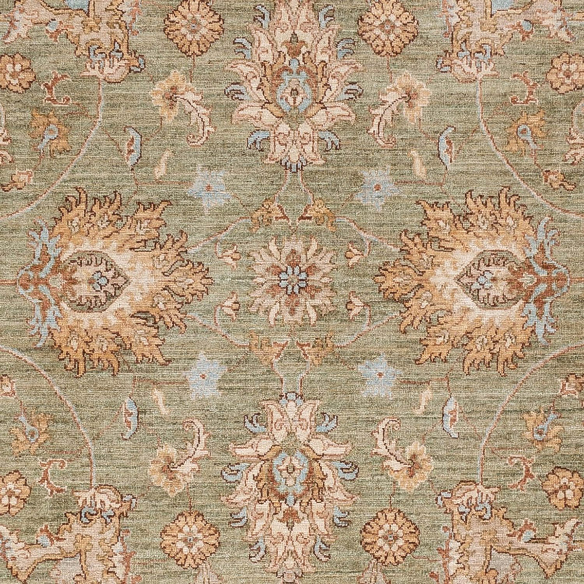 Ziegler Rug - 306 x 246 cm - olive green