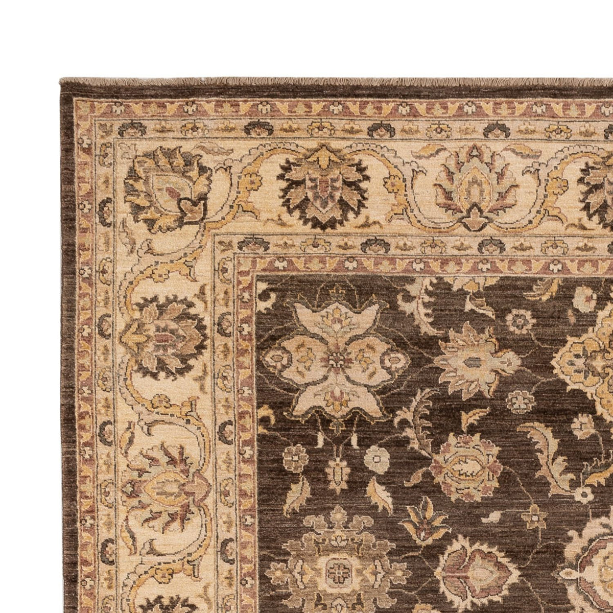 Ziegler Rug - 319 x 252 cm - brown