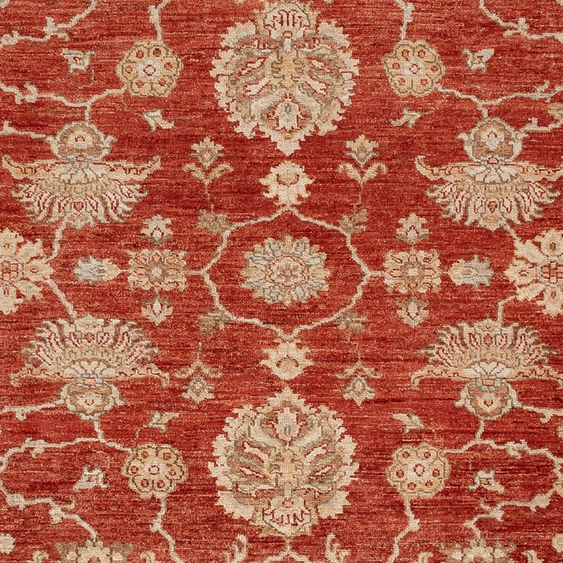 Ziegler Rug - 298 x 256 cm - red