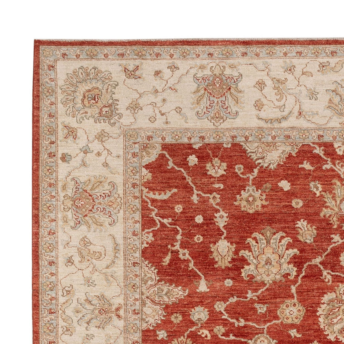 Ziegler Rug 256x298cm - Oriental Rug
