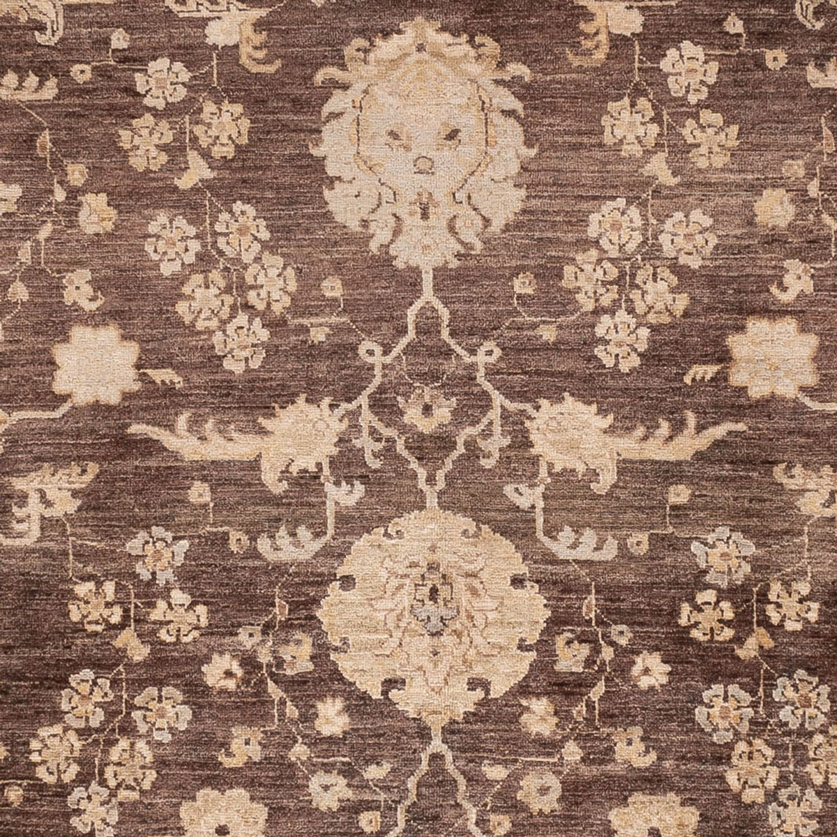 Ziegler Rug - 309 x 243 cm - brown