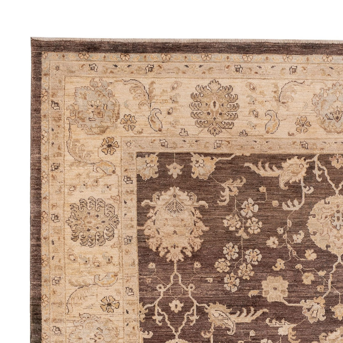 Ziegler Rug - 309 x 243 cm - brown