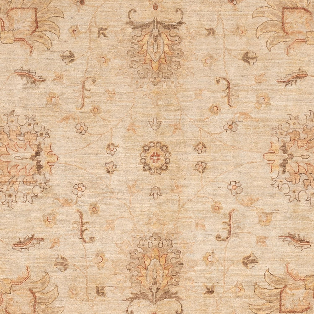 Ziegler Rug - 298 x 241 cm - beige