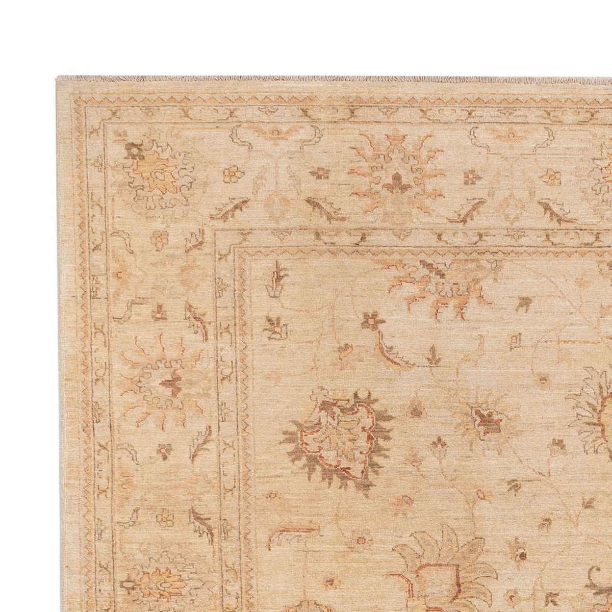 Ziegler Rug - 298 x 241 cm - beige