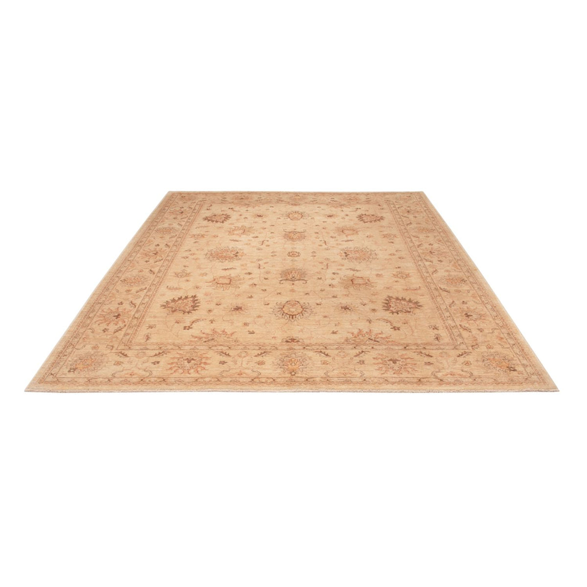 Ziegler Rug - 298 x 241 cm - beige
