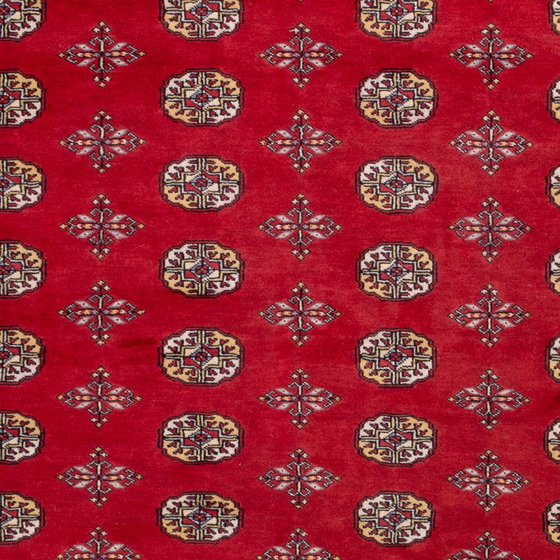 Afghan Rug - Bukhara - 292 x 206 cm - red