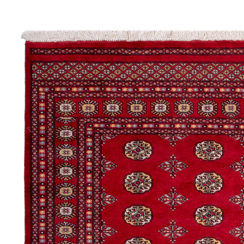 Afghan Rug - Bukhara - 292 x 206 cm - red