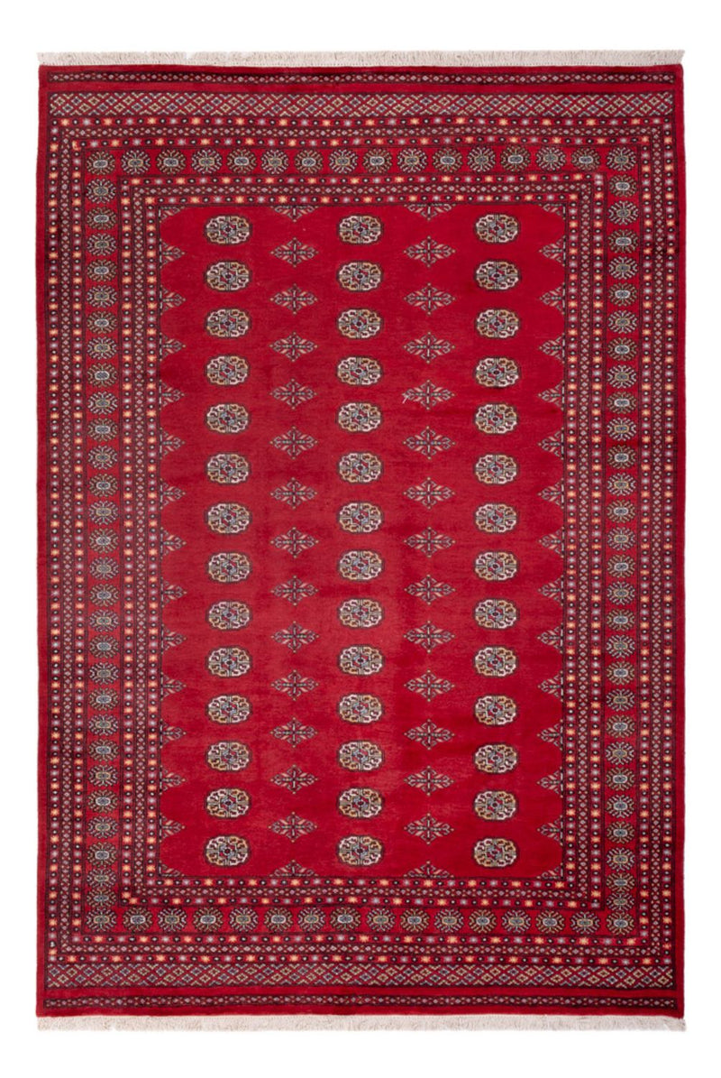 Afghan Rug - Bukhara - 300 x 201 cm - red