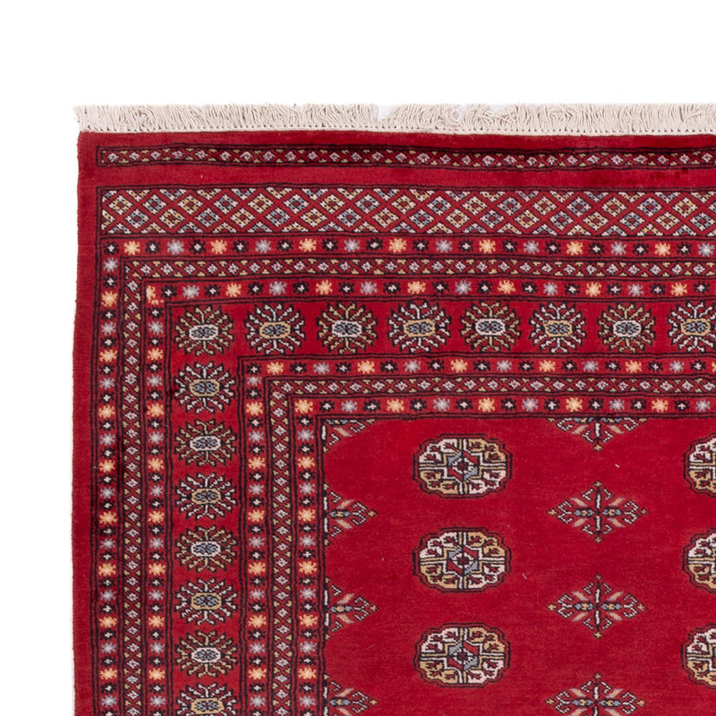 Afghan Rug - Bukhara - 300 x 201 cm - red