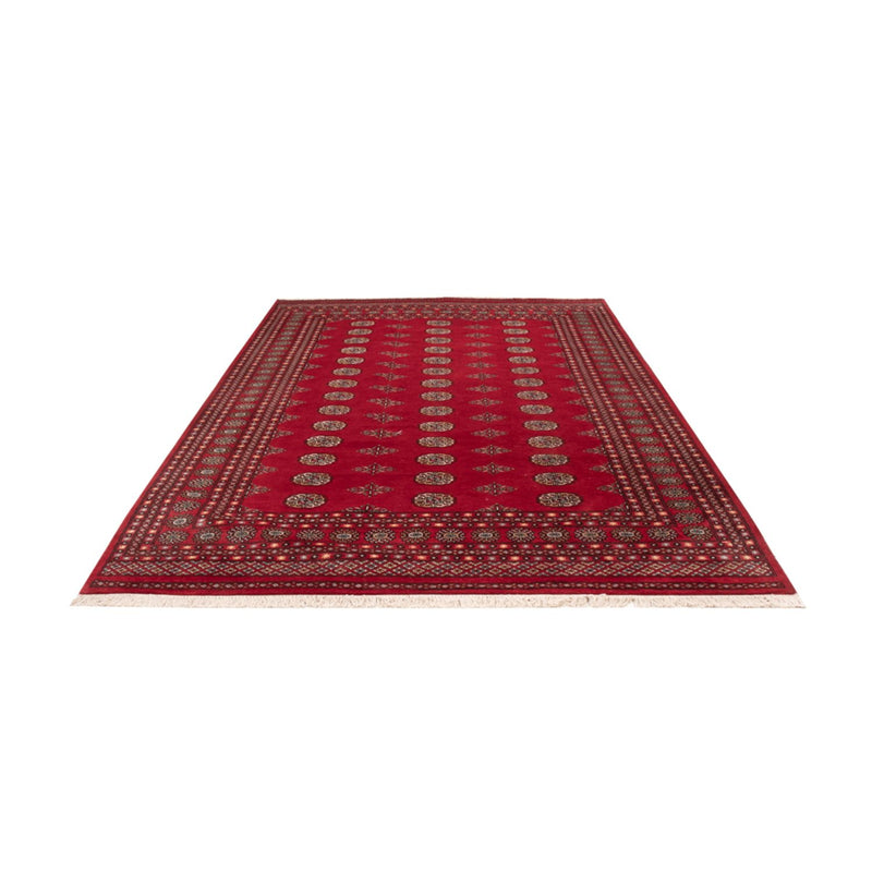 Afghan Rug - Bukhara - 300 x 201 cm - red