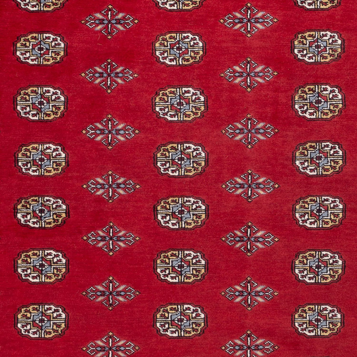 Afghan Rug - Bukhara - 302 x 200 cm - red