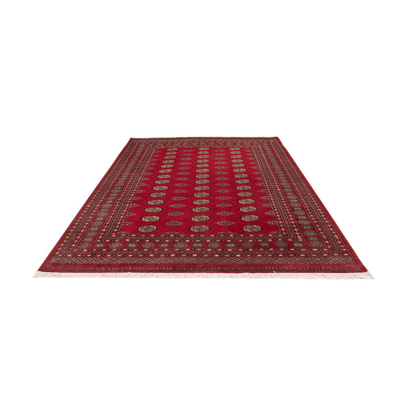 Afghan Rug - Bukhara - 302 x 200 cm - red
