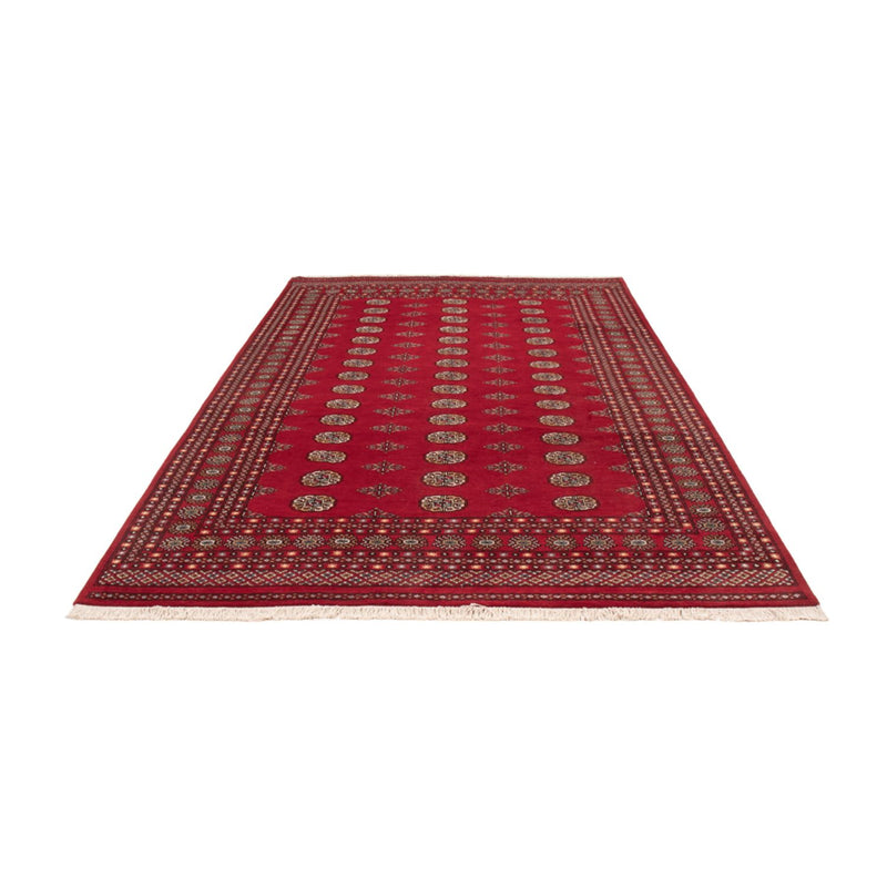 Afghan Rug - Bukhara - 316 x 203 cm - red