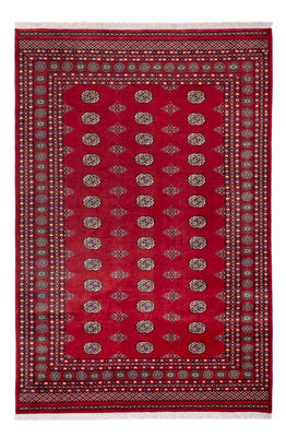 Afghan Rug - Bukhara - 294 x 198 cm - red