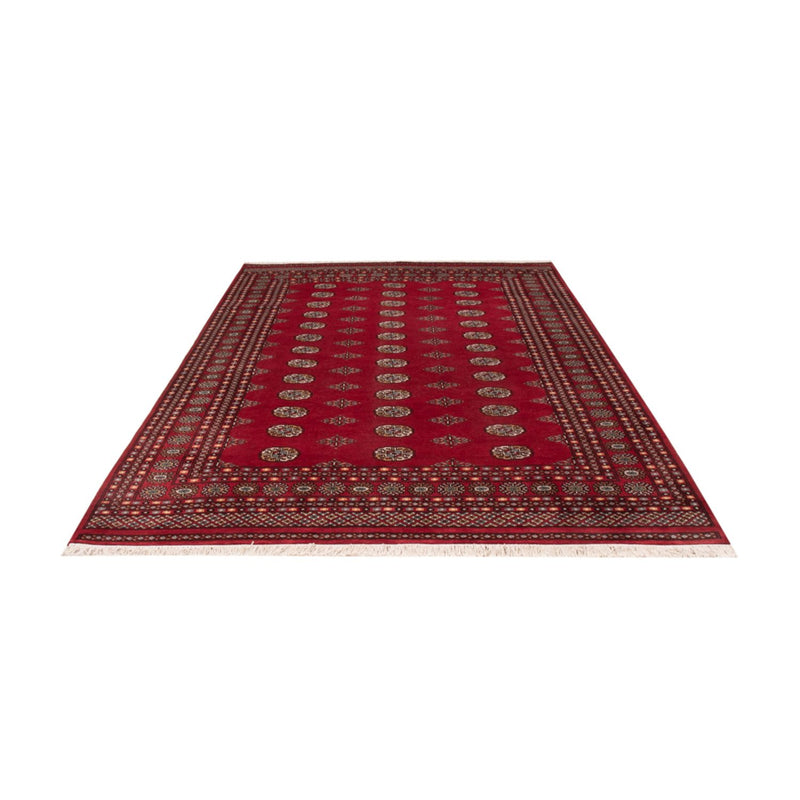 Afghan Rug - Bukhara - 294 x 198 cm - red