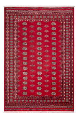 Afghan Rug - Bukhara - 304 x 206 cm - red