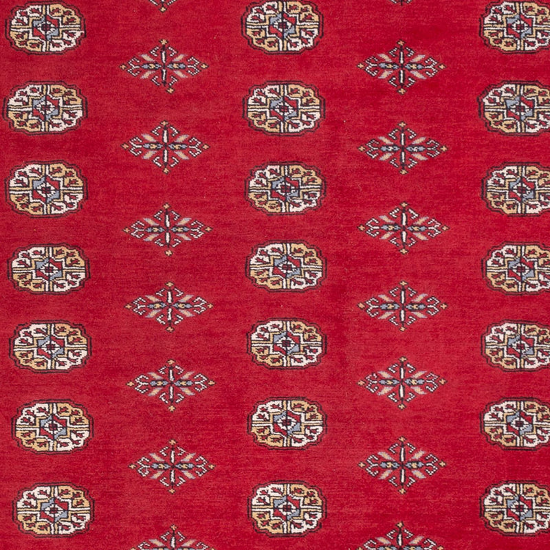 Afghan Rug - Bukhara - 304 x 206 cm - red