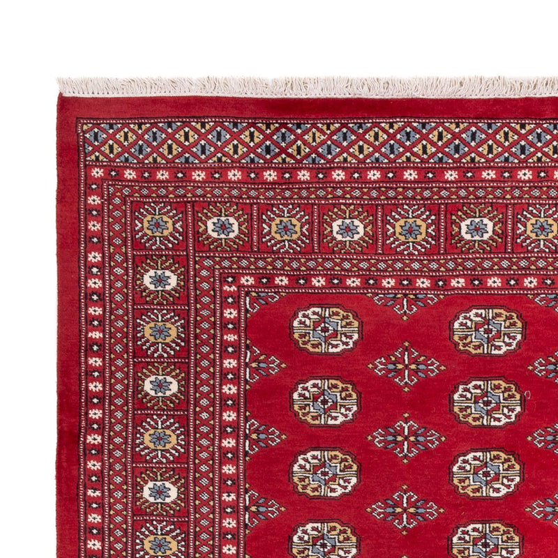 Afghan Rug - Bukhara - 313 x 207 cm - red