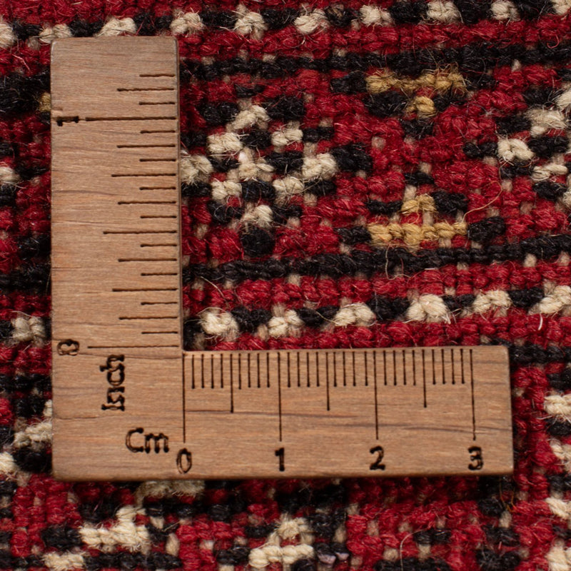 Afghan Rug - Bukhara - 313 x 207 cm - red