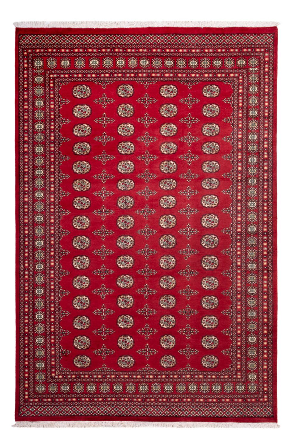 Afghan Rug - Bukhara - 318 x 210 cm - red