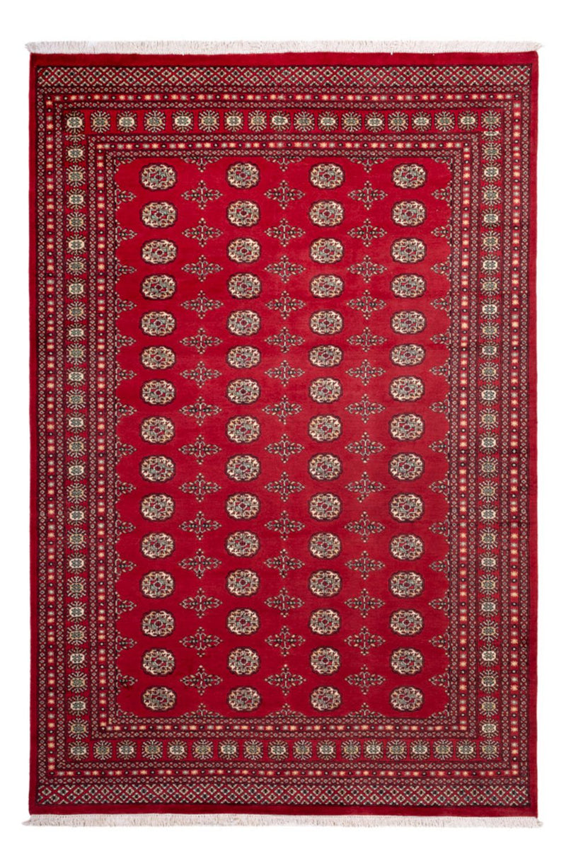 Afghan Rug - Bukhara - 318 x 210 cm - red