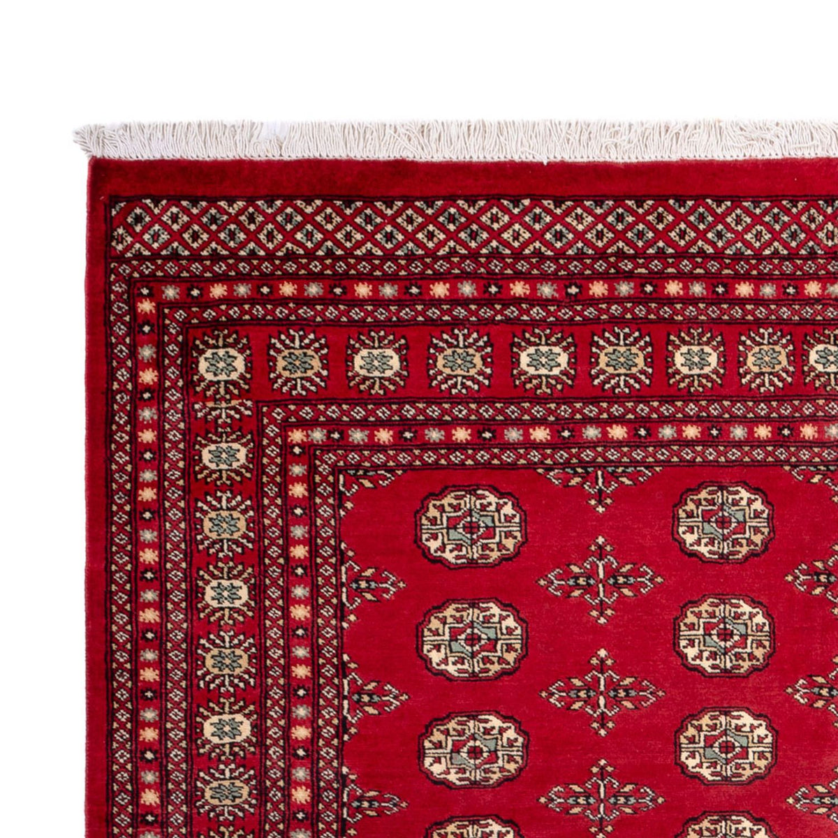 Afghan Rug - Bukhara - 318 x 210 cm - red