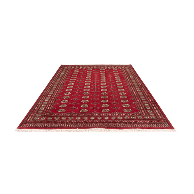 Afghan Rug - Bukhara - 318 x 210 cm - red