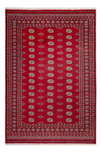 Afghan Rug - Bukhara - 308 x 207 cm - red