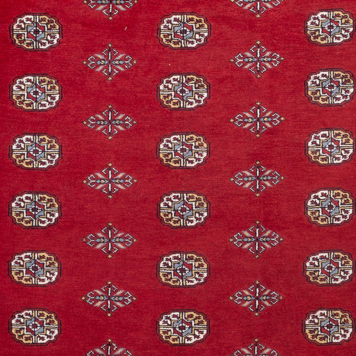Afghan Rug - Bukhara - 314 x 202 cm - red