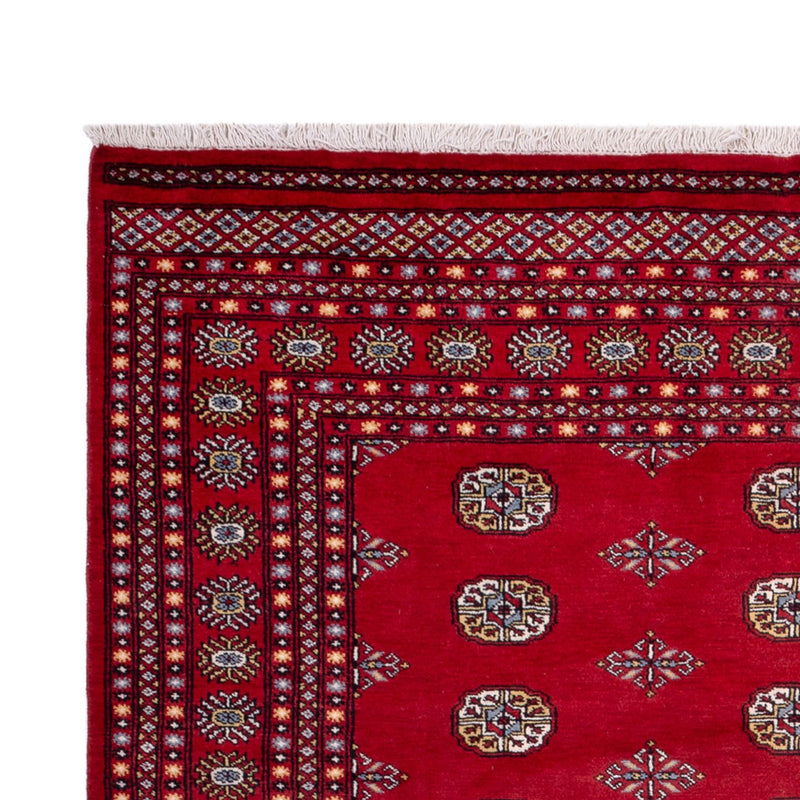 Afghan Rug - Bukhara - 314 x 202 cm - red