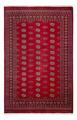 Afghan Rug - Bukhara - 306 x 202 cm - red