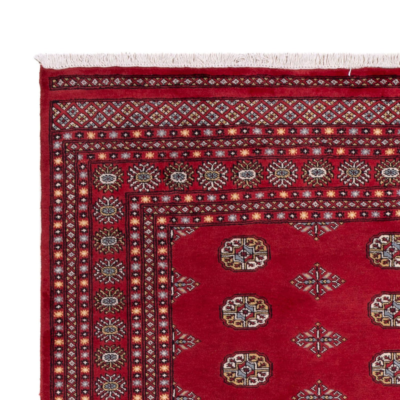 Afghan Rug - Bukhara - 306 x 202 cm - red