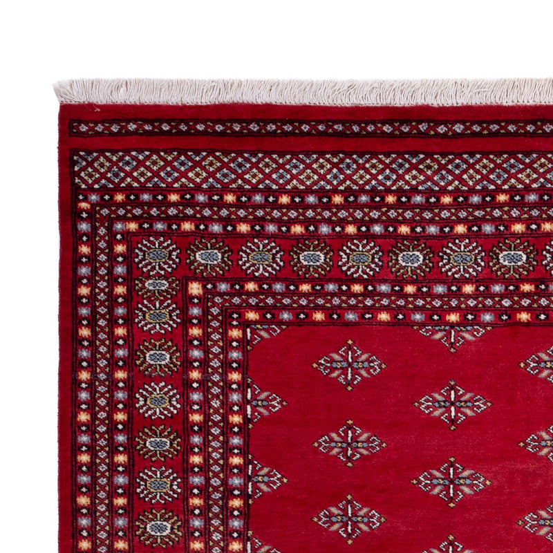 Afghan Rug - Bukhara - 317 x 204 cm - red
