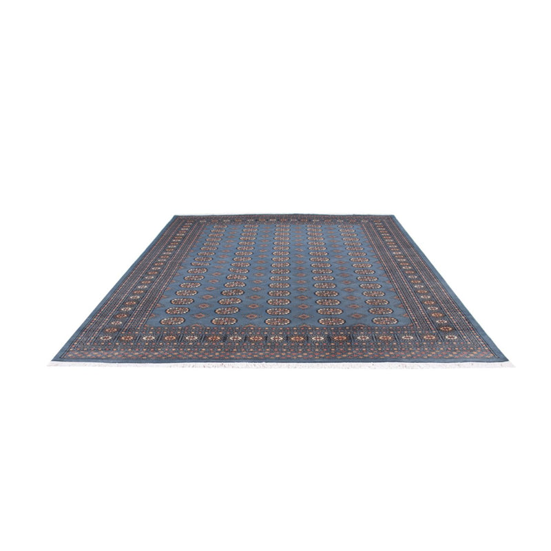 Afghan Rug - Bukhara - 305 x 249 cm - light blue