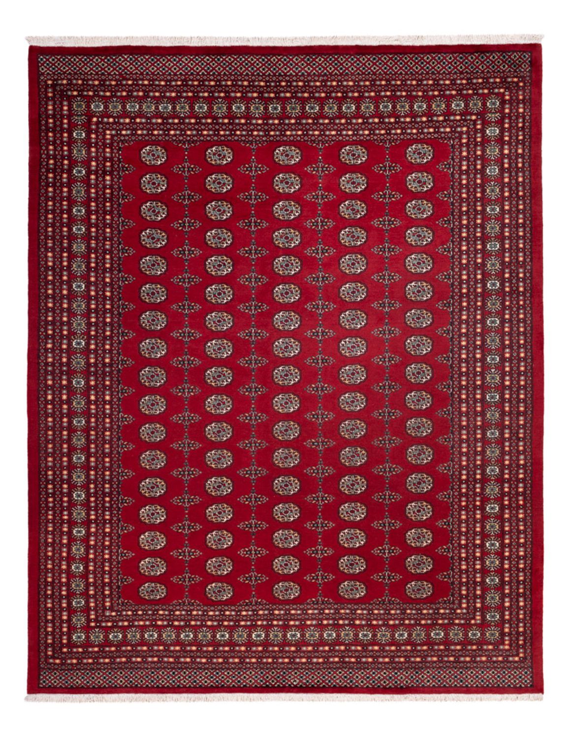 Afghan Rug - Bukhara - 309 x 246 cm - red