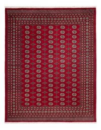 Afghan Rug - Bukhara - 309 x 246 cm - red