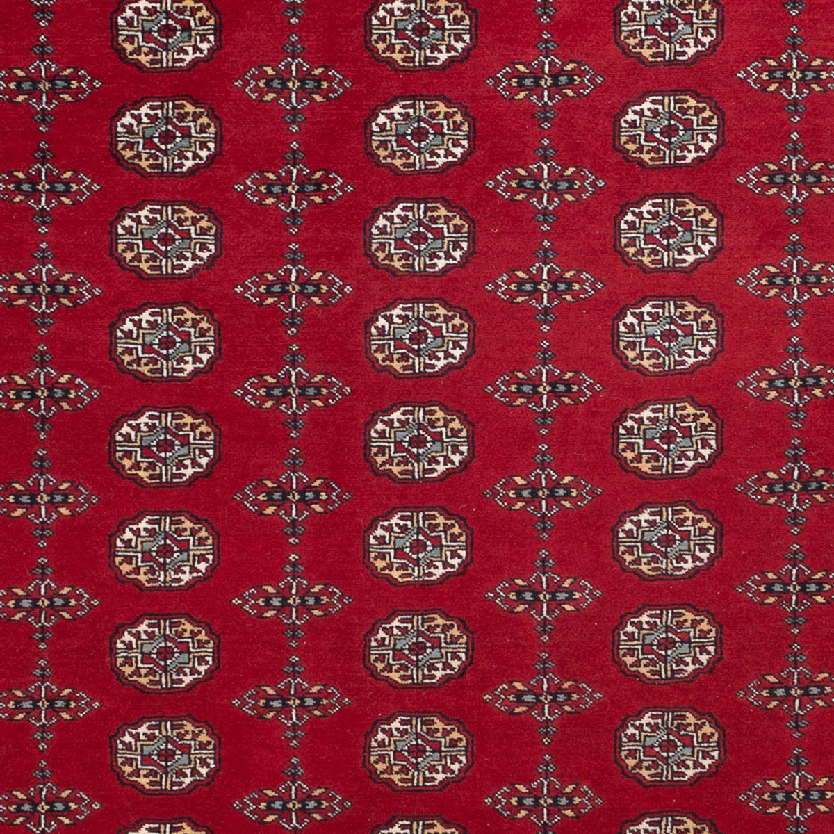 Afghan Rug - Bukhara - 309 x 246 cm - red