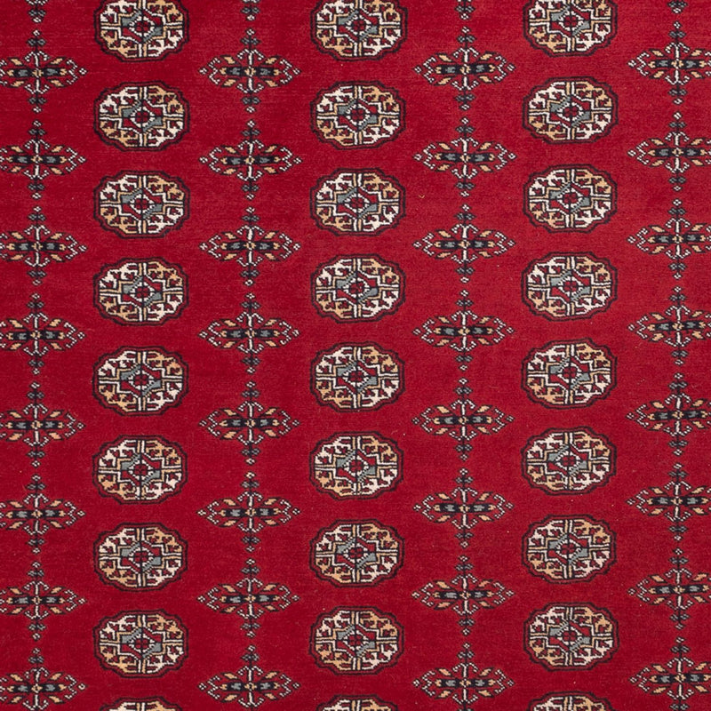 Afghan Rug - Bukhara - 309 x 246 cm - red