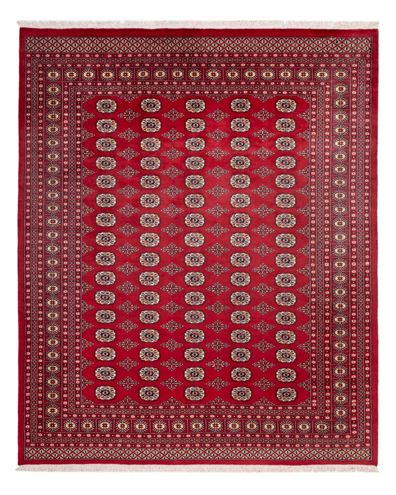 Afghan Rug - Bukhara - 305 x 244 cm - red