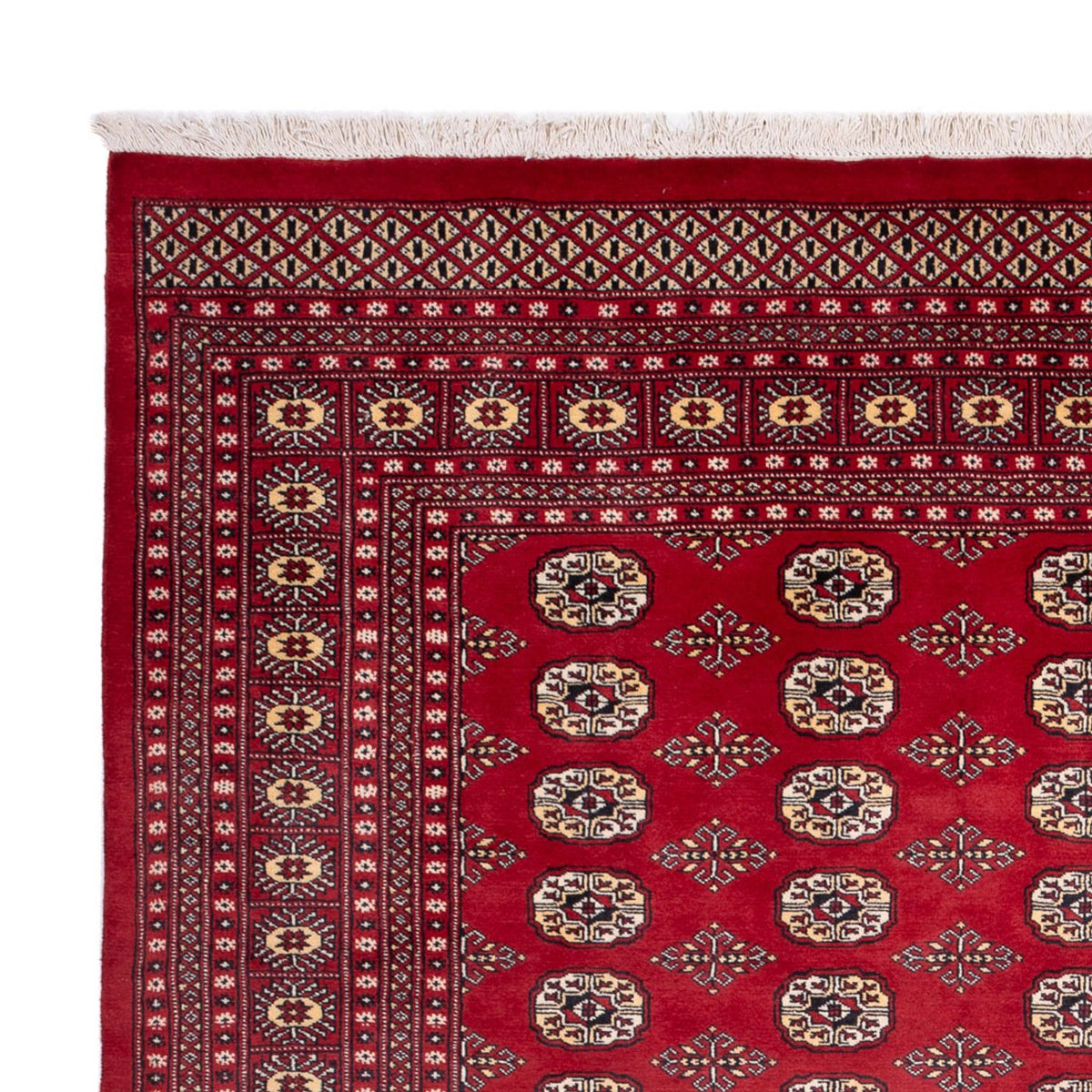 Afghan Rug - Bukhara - 305 x 244 cm - red