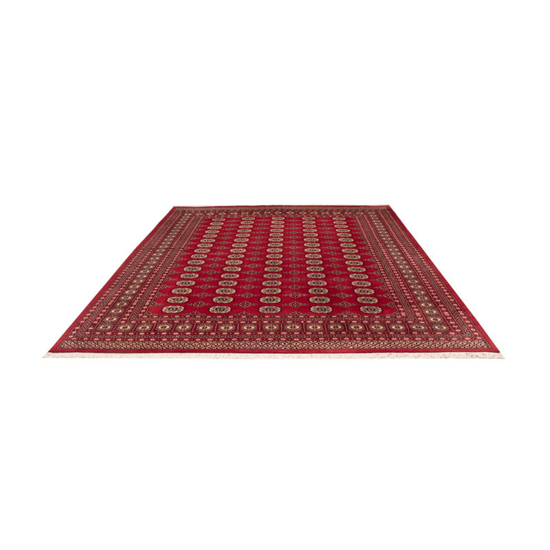 Afghan Rug - Bukhara - 305 x 244 cm - red