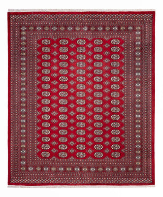 Afghan Rug - Bukhara - 296 x 250 cm - red