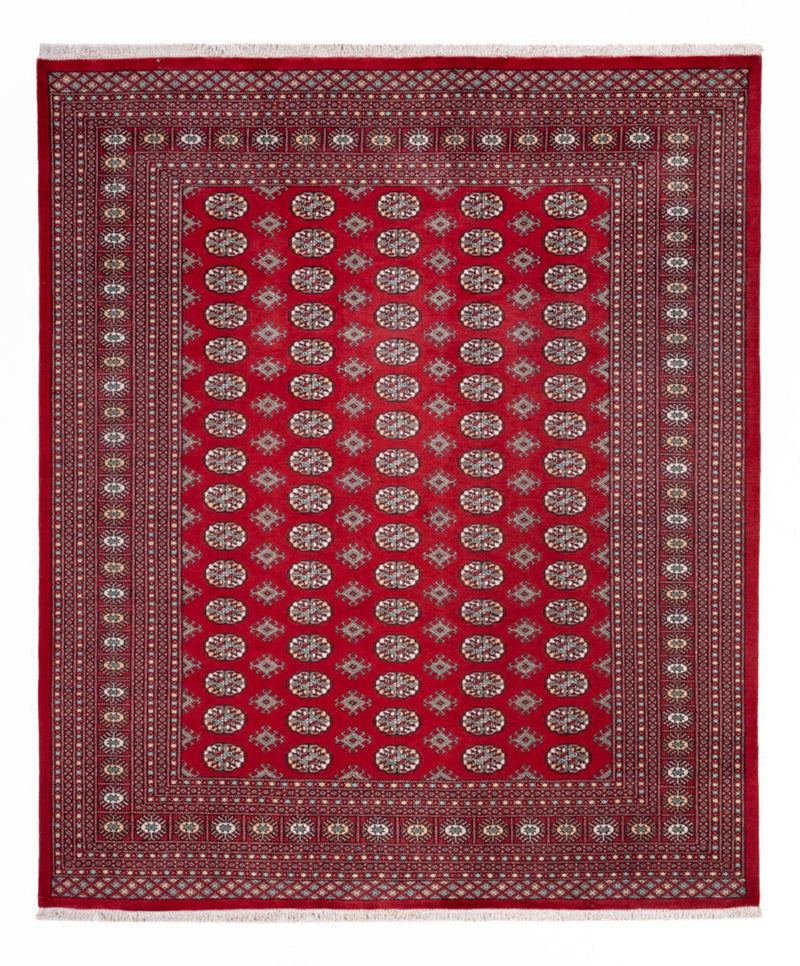 Afghan Rug - Bukhara - 296 x 250 cm - red