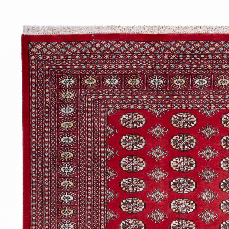 Afghan Rug - Bukhara - 296 x 250 cm - red