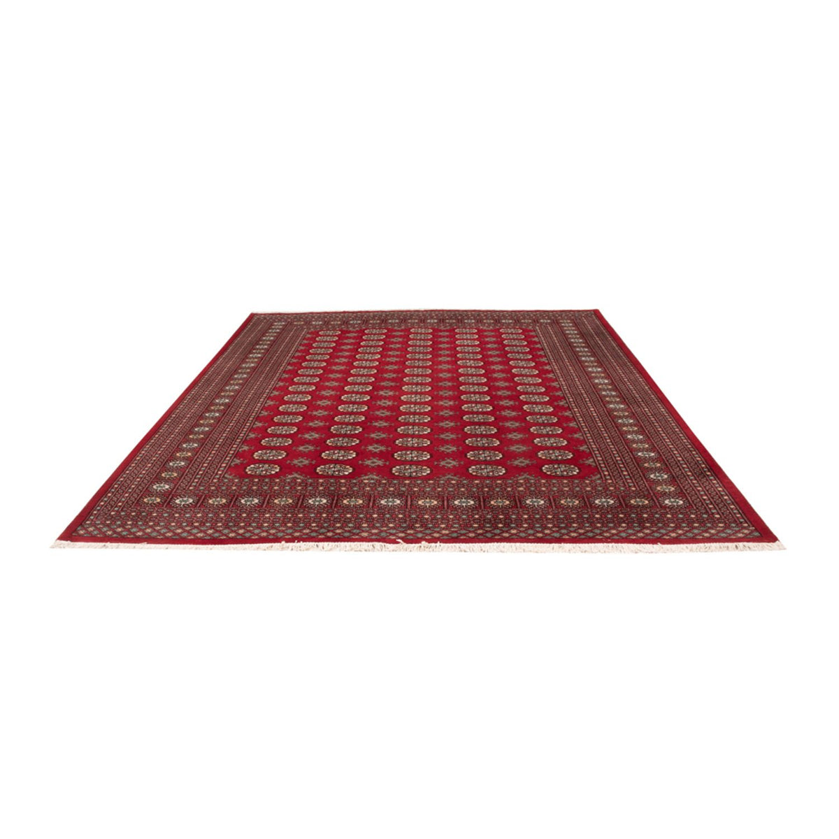 Afghan Rug - Bukhara - 296 x 250 cm - red