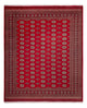 Bukhara Rug 252x305cm - Oriental Rug